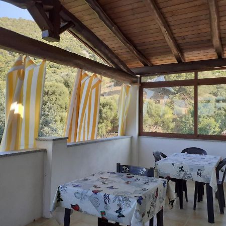 B&B Sa Funtana Кардеду Екстериор снимка